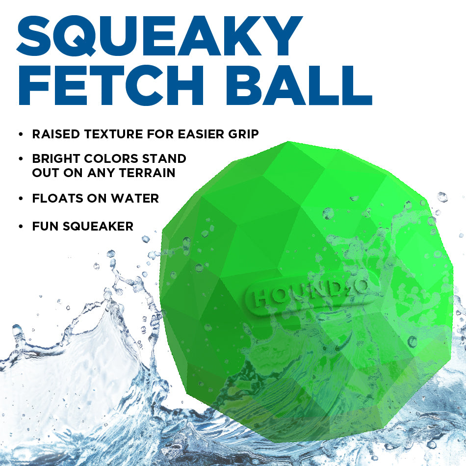 Squeaky Fetch Ball