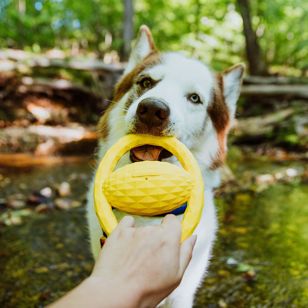 Squeaky Tug Ball