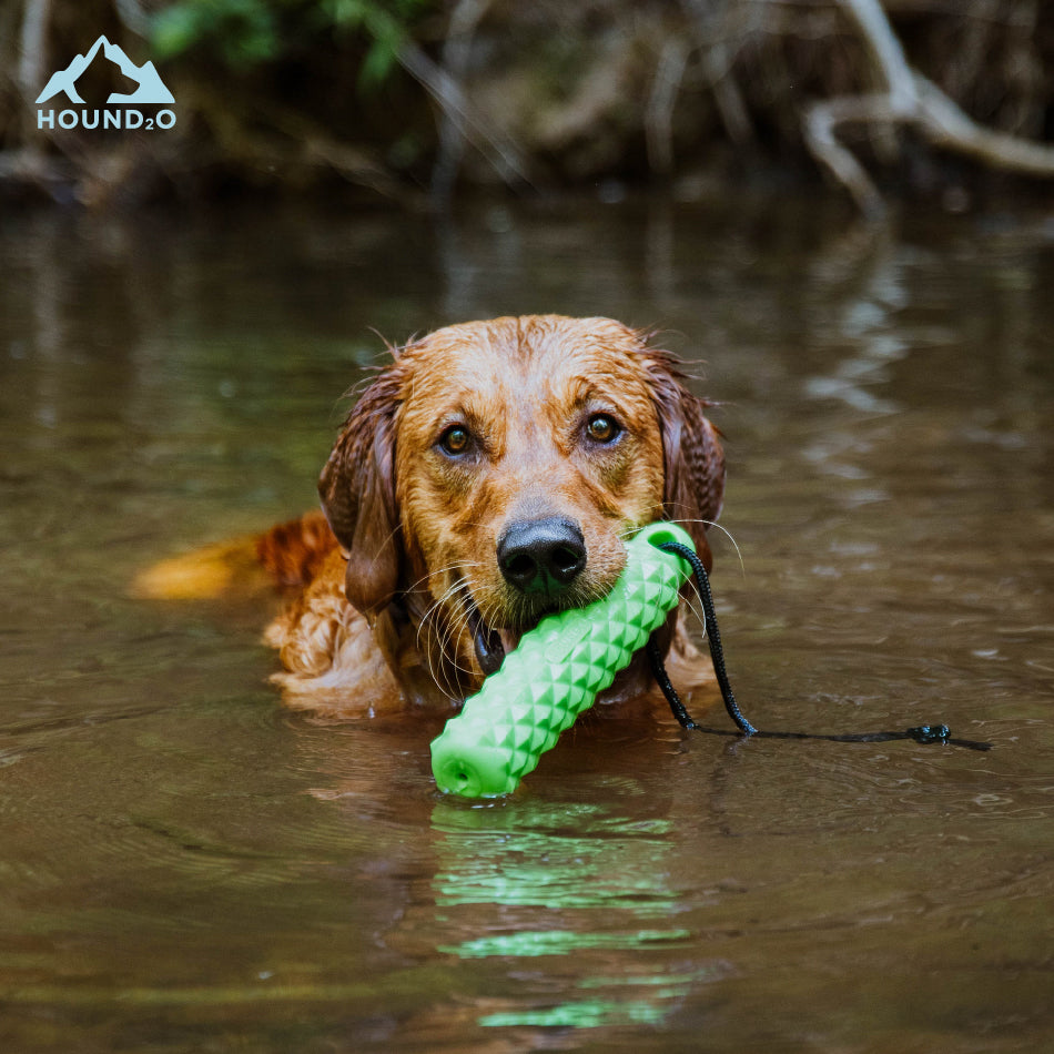 Squeaky Rope Bumper