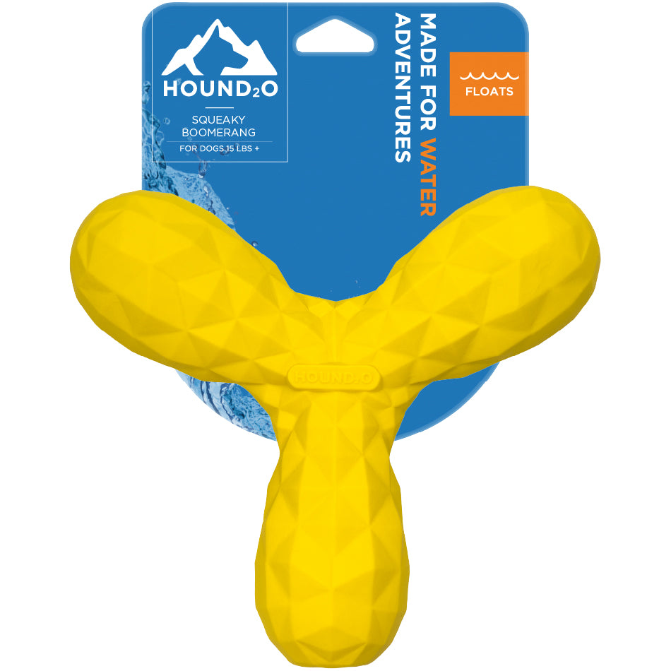 Squeaky Boomerang