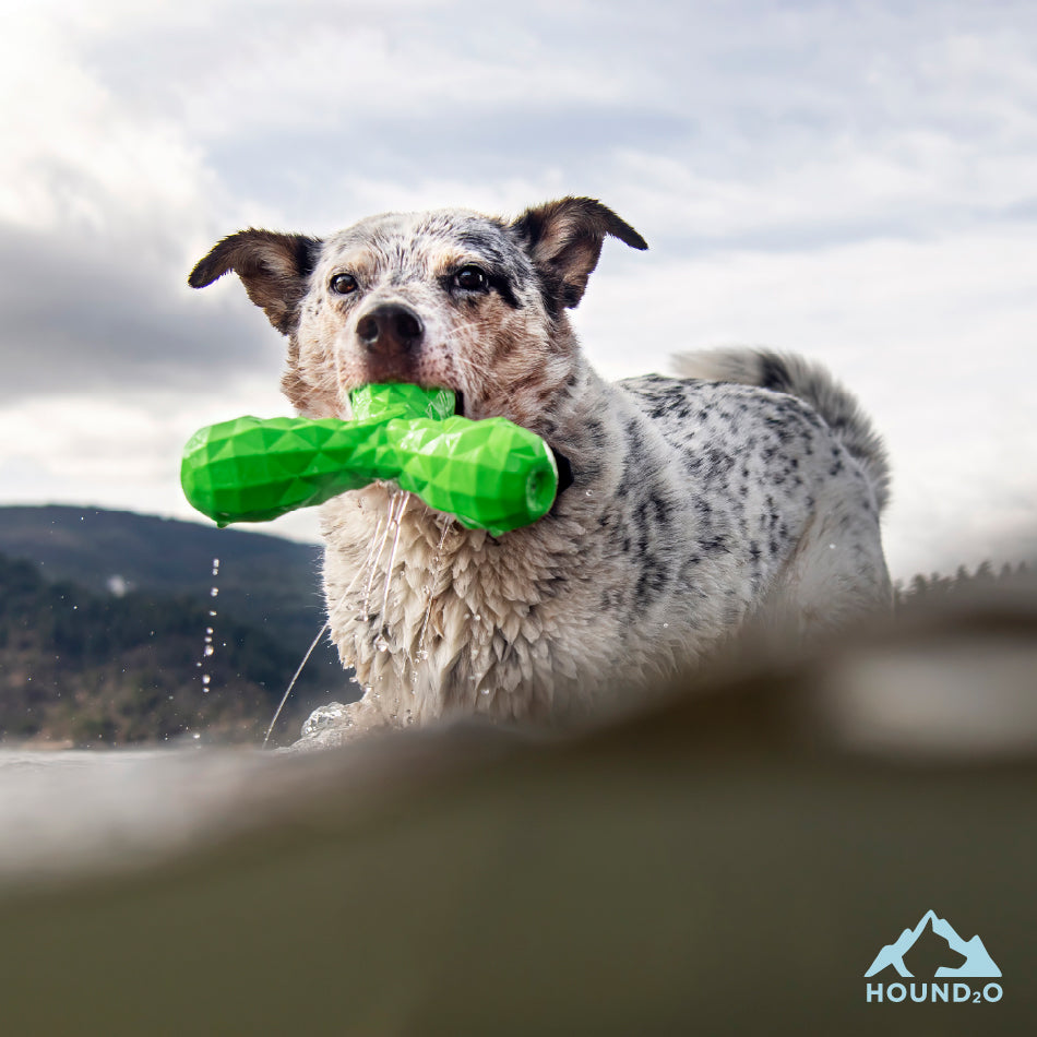 Squeaky Boomerang