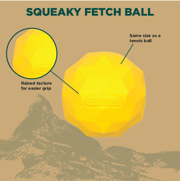Squeaky Fetch Ball