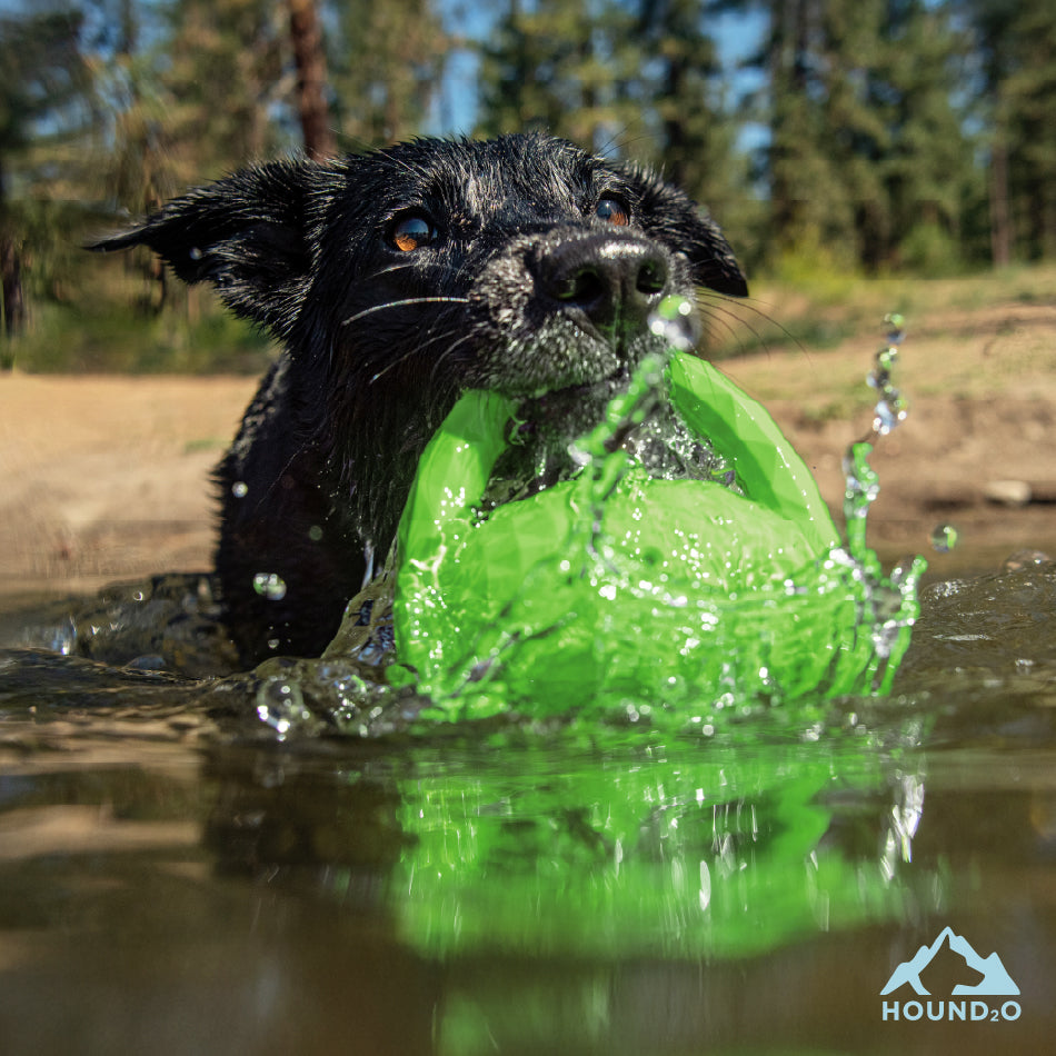Squeaky Tug Ball