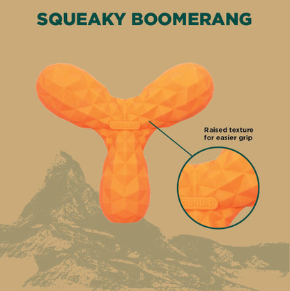 Squeaky Boomerang