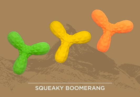 Squeaky Boomerang