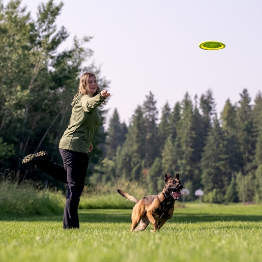 Dog-Friendly Trails in Nashville for Walks, Hikes & Outdoor Fun