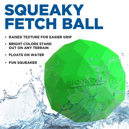 Squeaky Fetch Ball