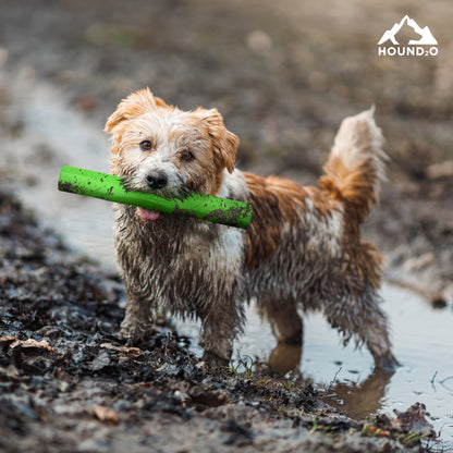 Fetch Stick
