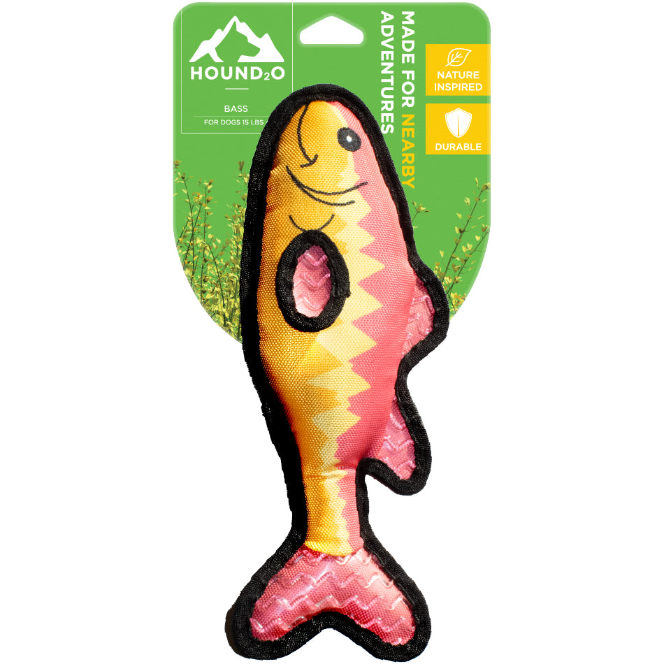 Bass Fish