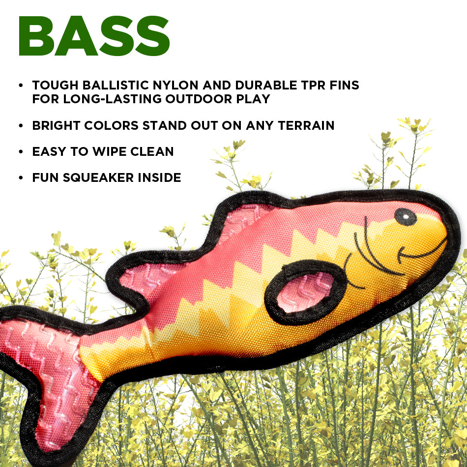 Bass Fish