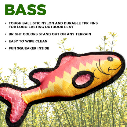 Bass Fish