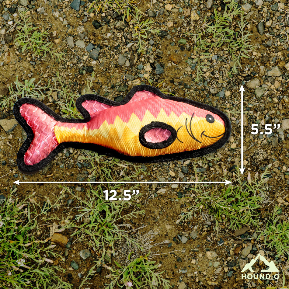Bass Fish