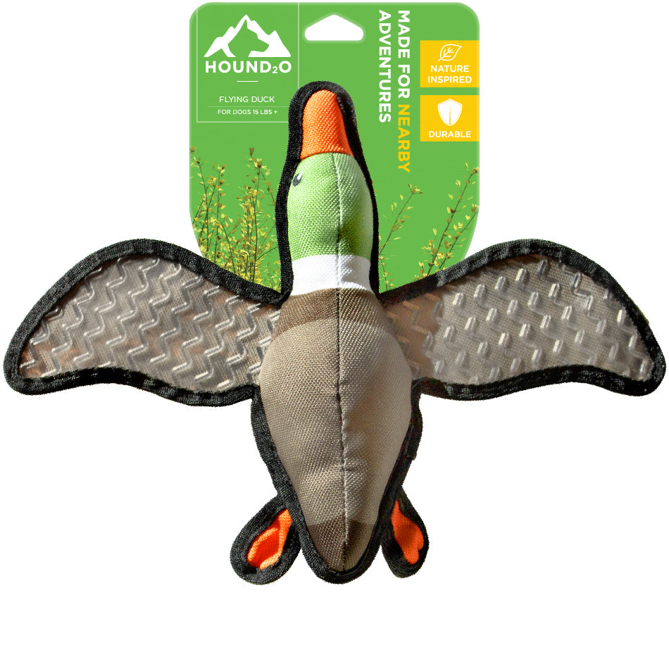 Flying Duck