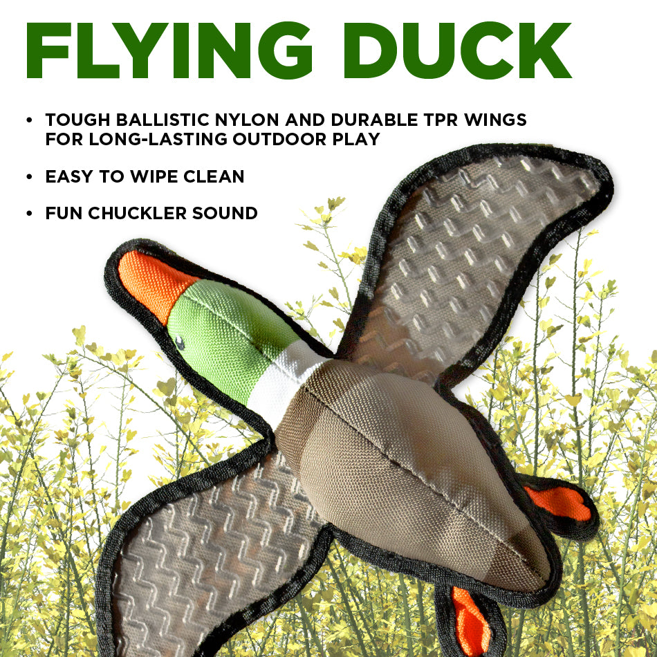 Flying Duck