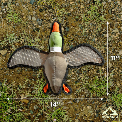 Flying Duck