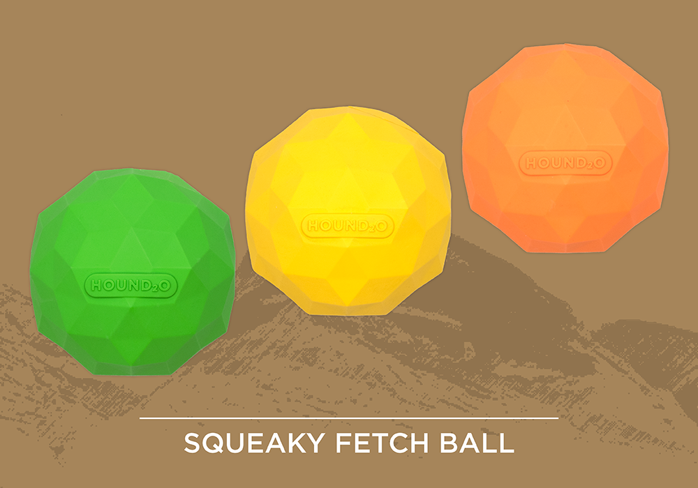 Squeaky Fetch Ball
